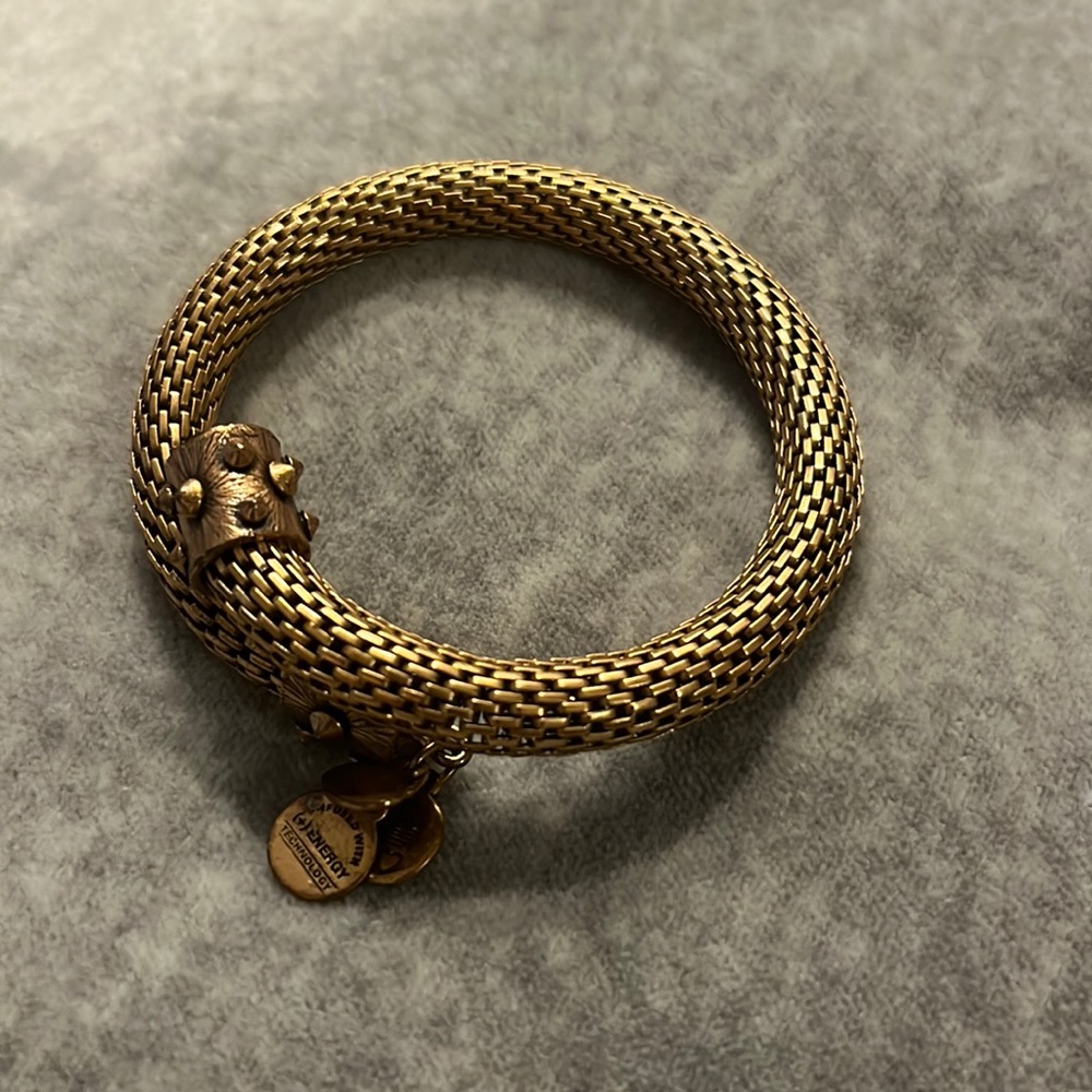 Alex and Ani vintage sixty-six wrap bracelet